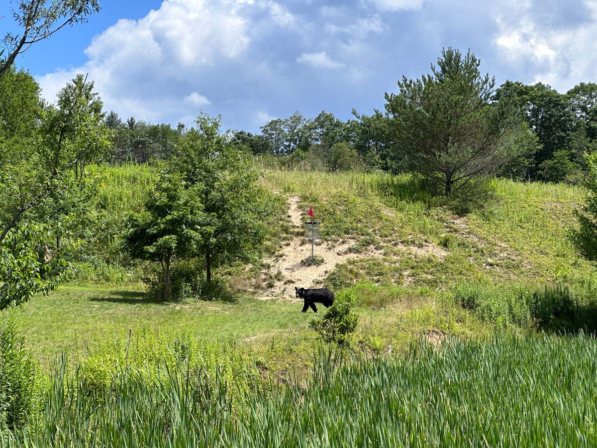 A guest appearance on hole 7. We let him play through.