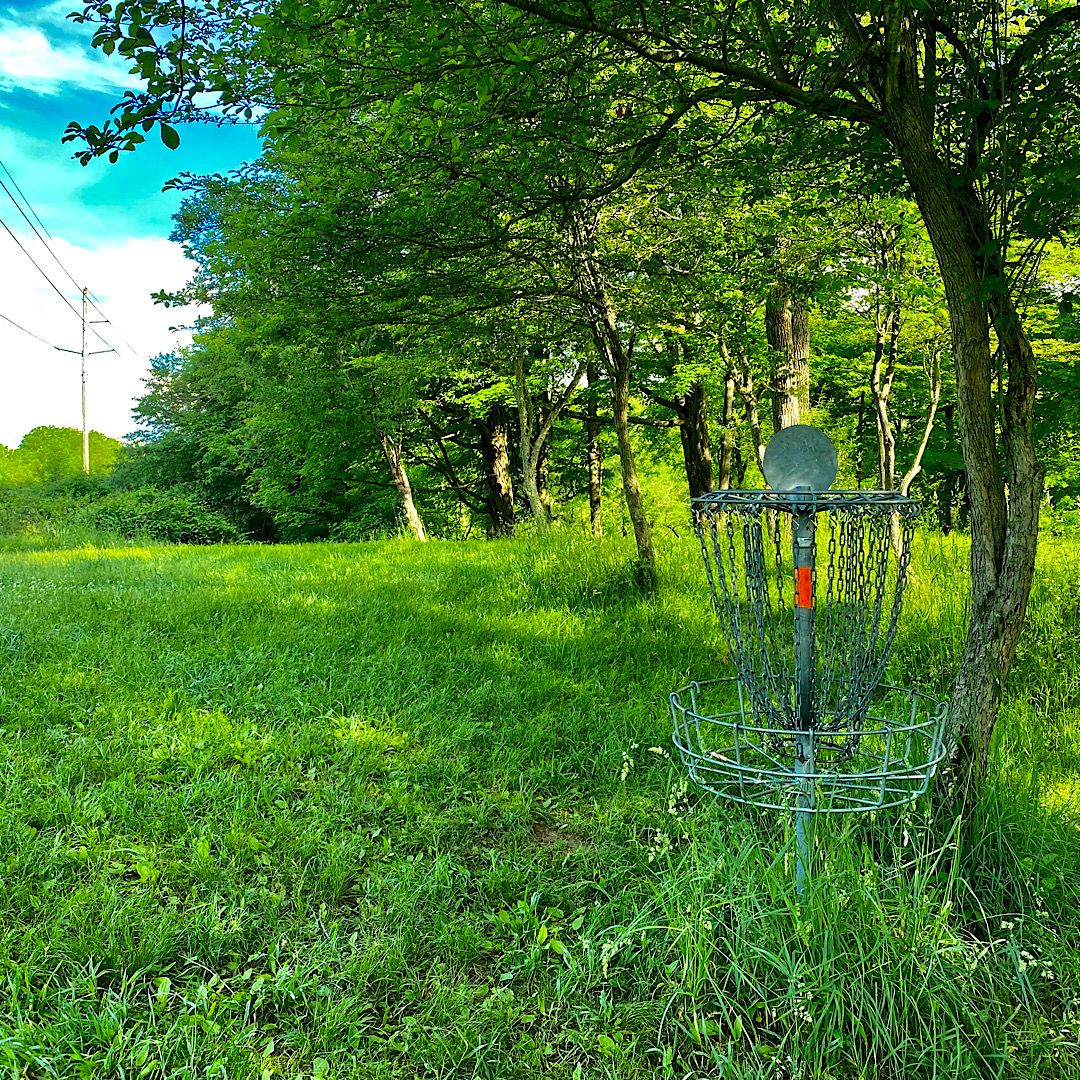 Hole #12 Basket to Tee