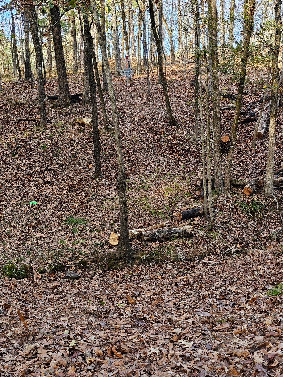 Hole 11