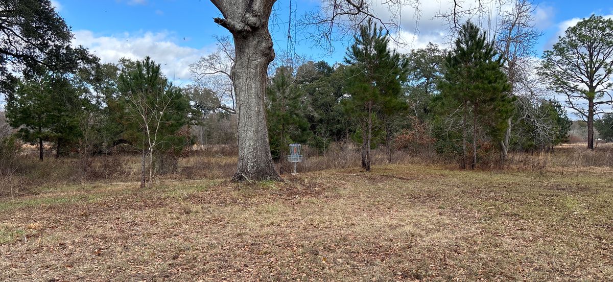 Hole 12 Blue