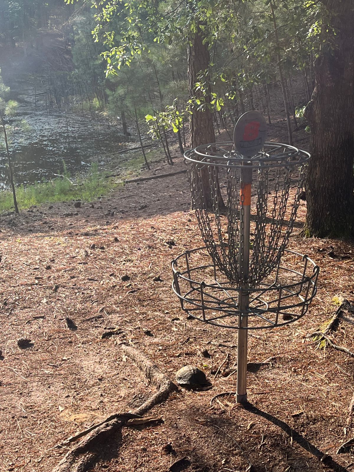 Found a buddy trying to play through!