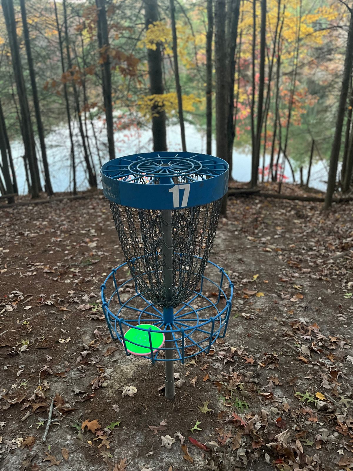 Basket on 17