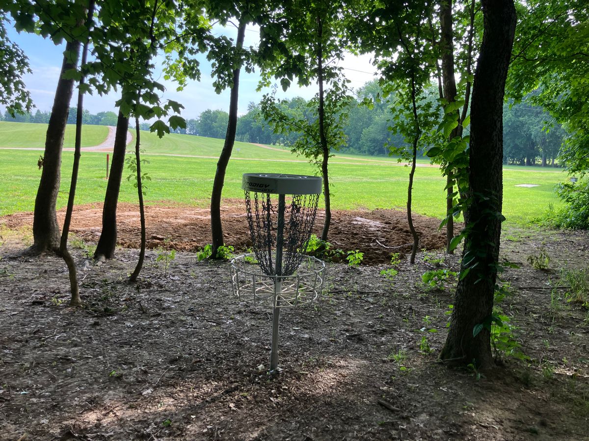 Hole 17 Basket POV looking at tee area.