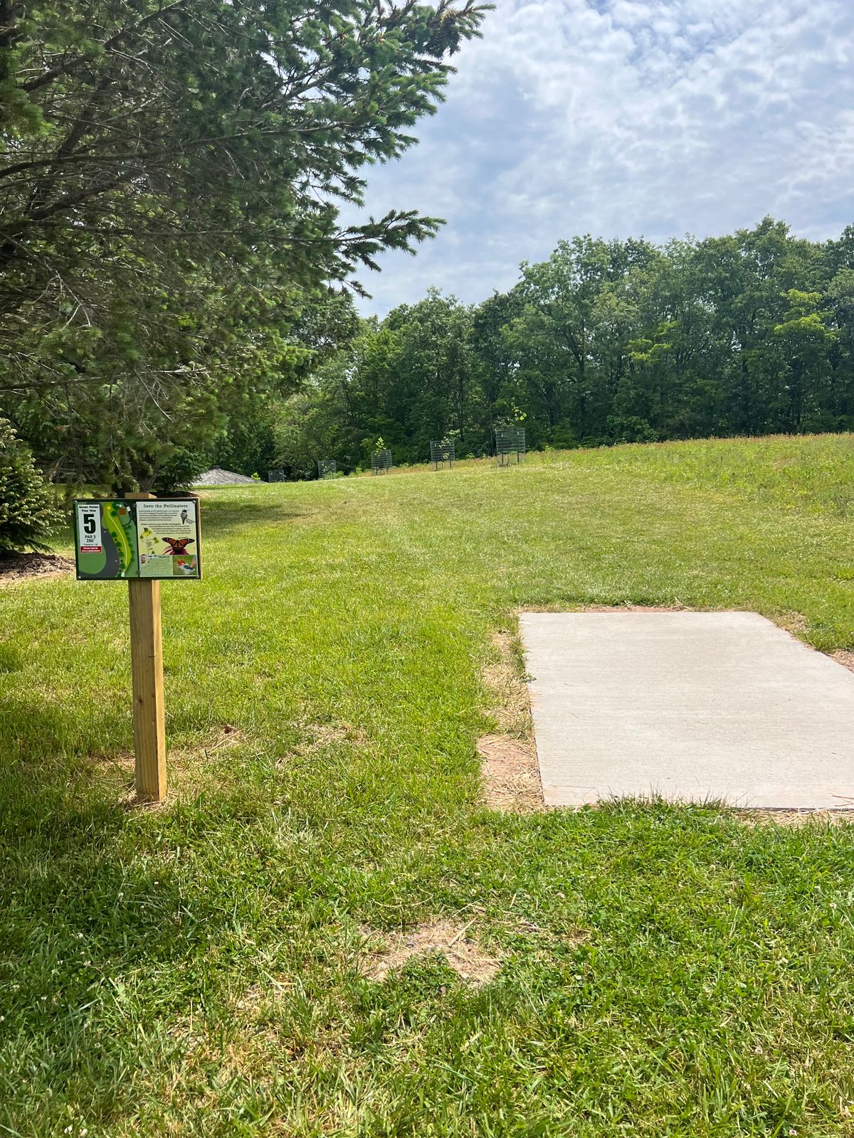 Hole 5