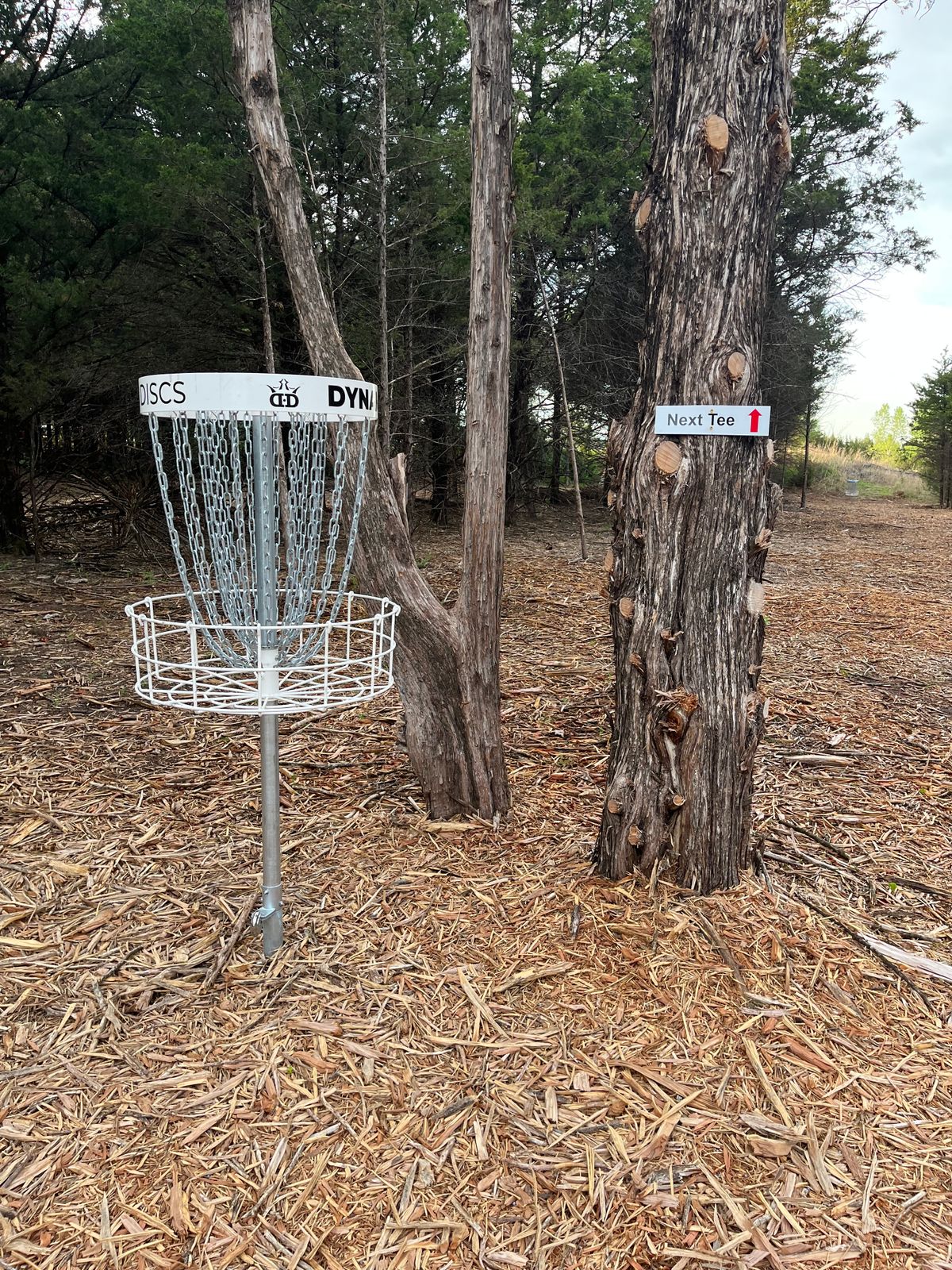 Next tee signs are really helpful!