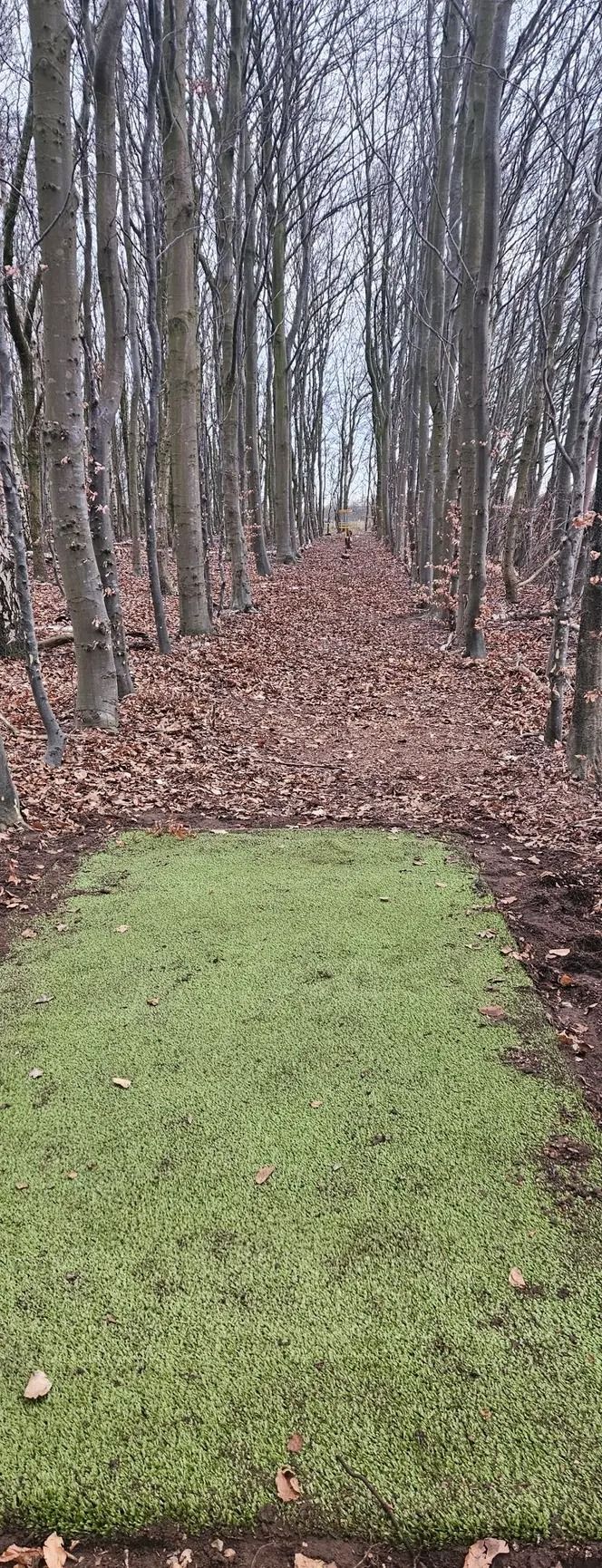 Hole 5