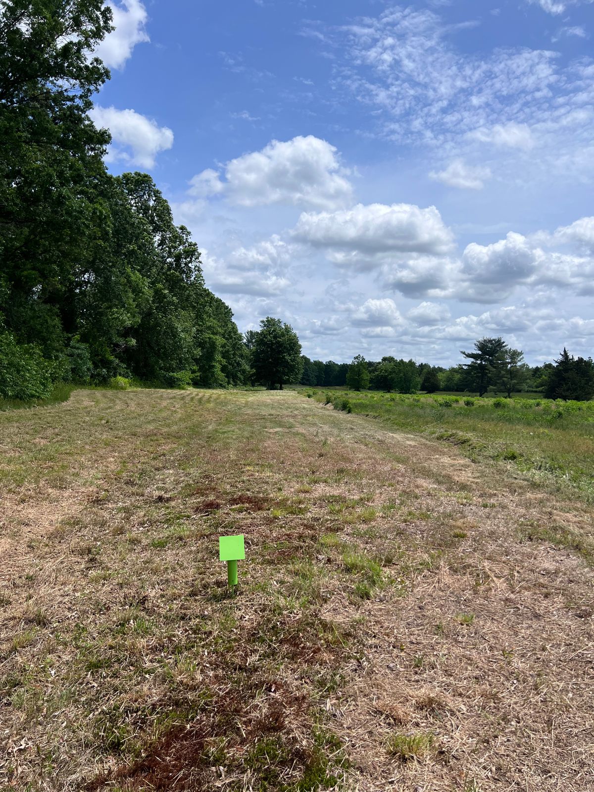 Hole 7 tee all wood line to the left is OB