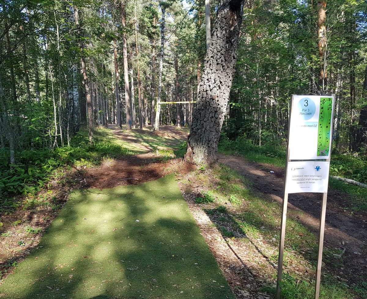 15 Aug 2020 - Tee hål 3
