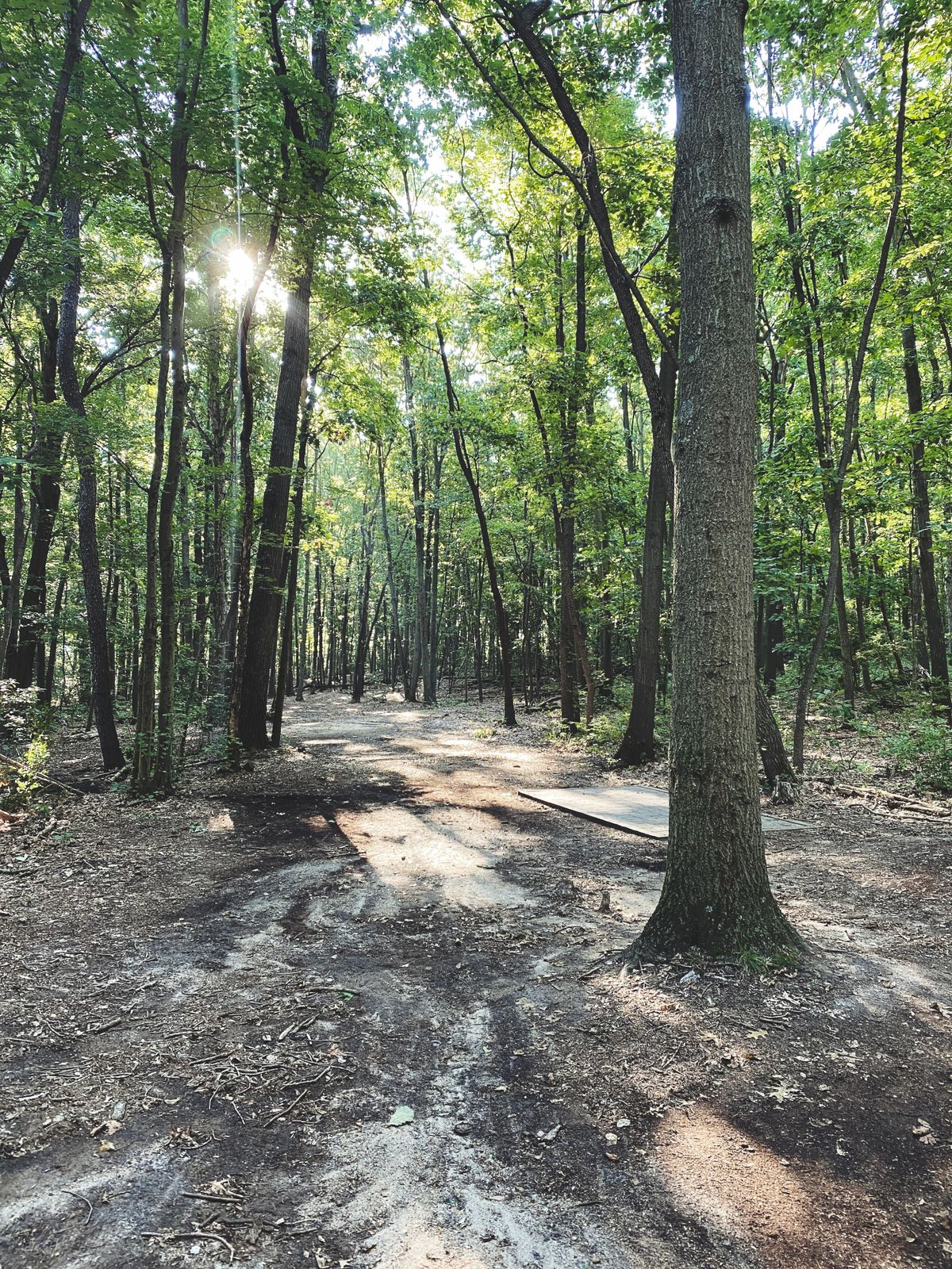 Hole 4.