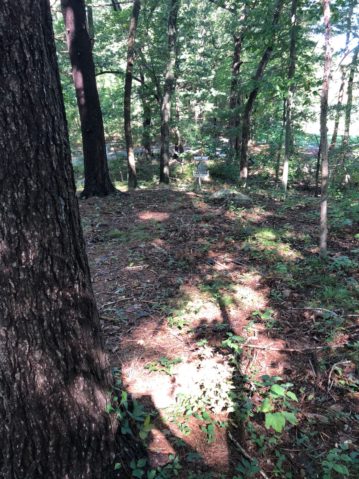 Hole 10 basket