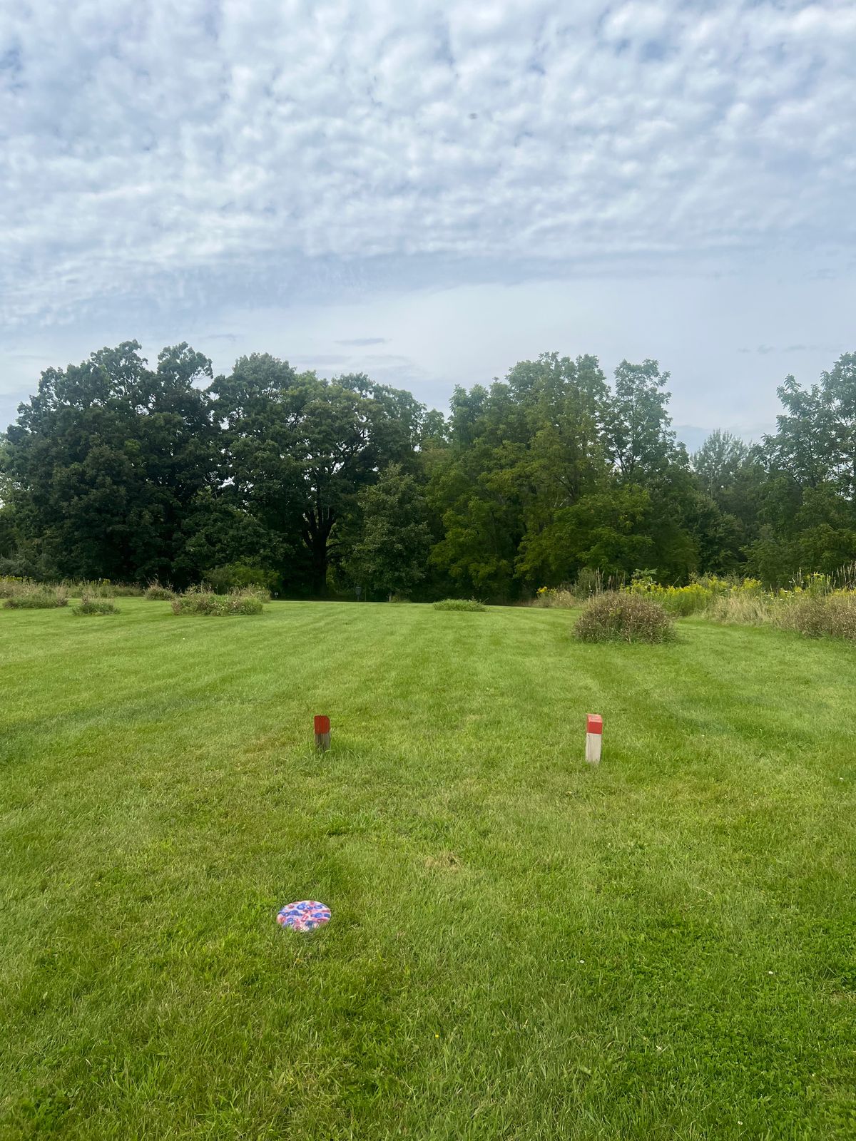 Hole 14 (Red) - Short Tee