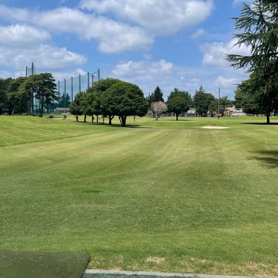 Hole 8