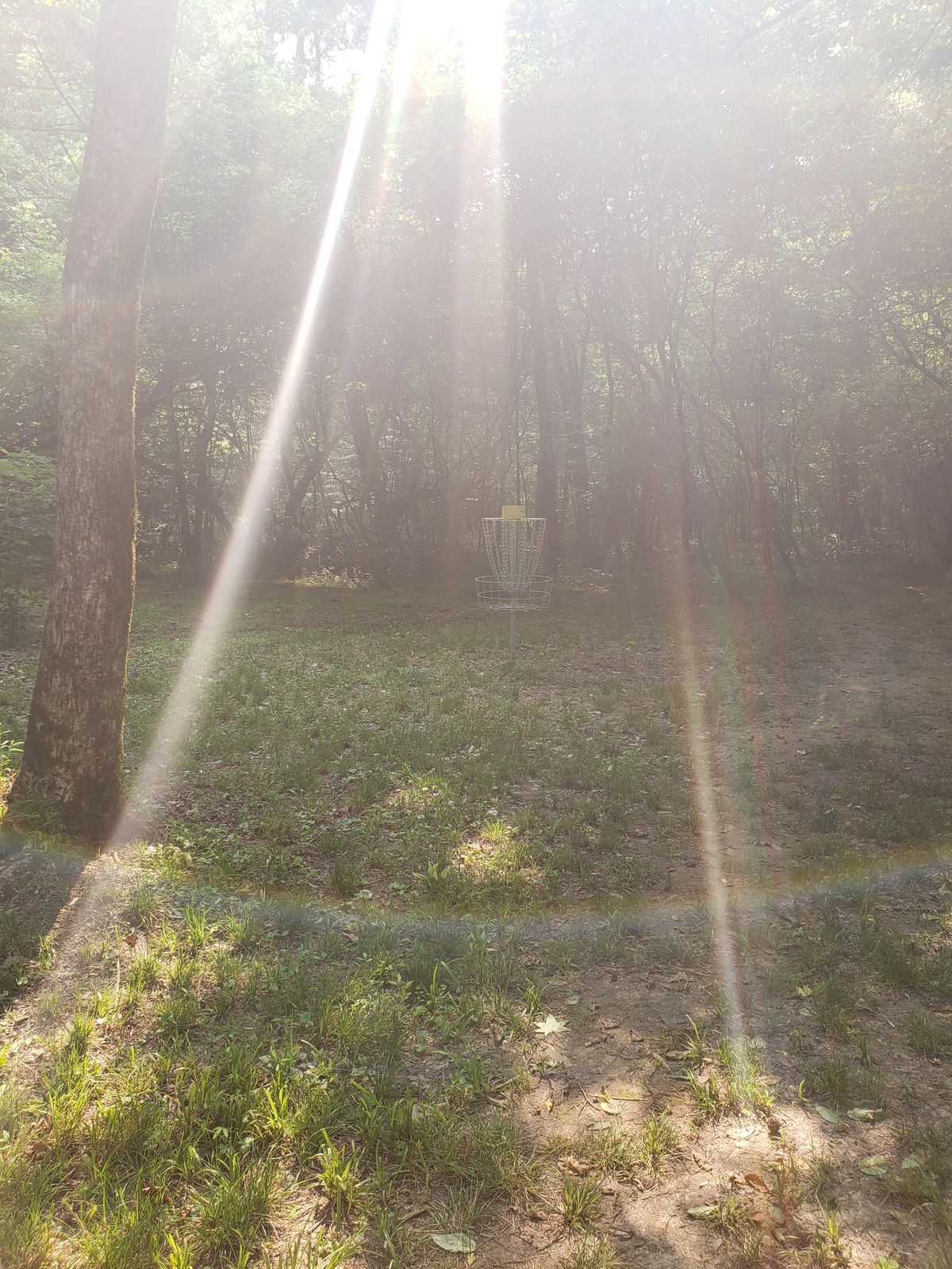 Hole 15 basket