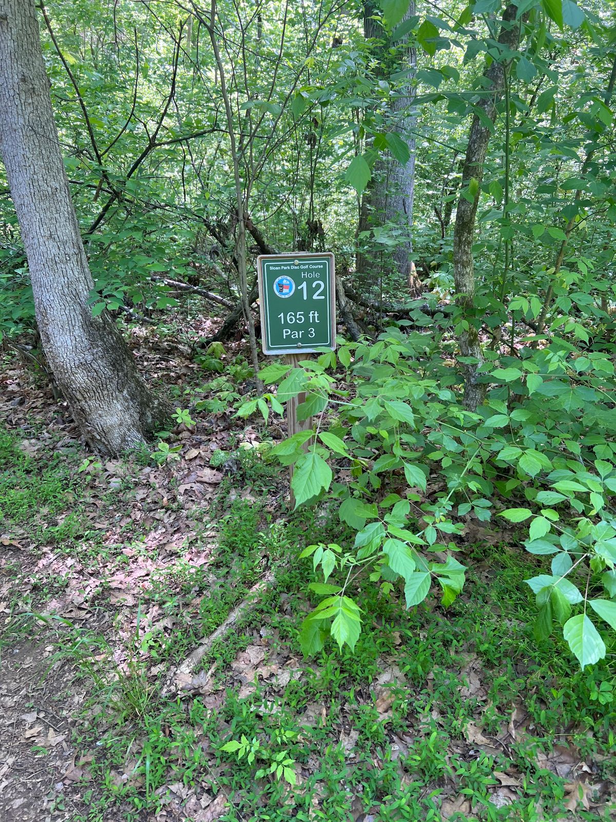 Beginning of Hole 12. From here on course is overgrown and needs some maintenance.
