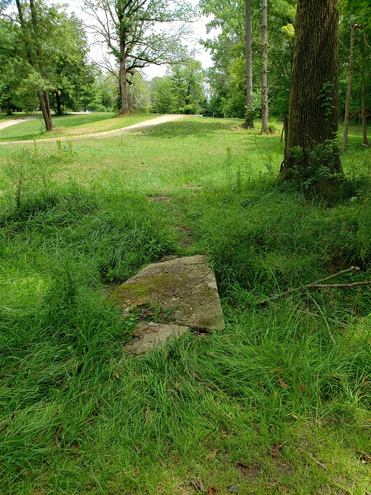#3 Fairway creek crossing path.
