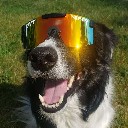 User avatar image