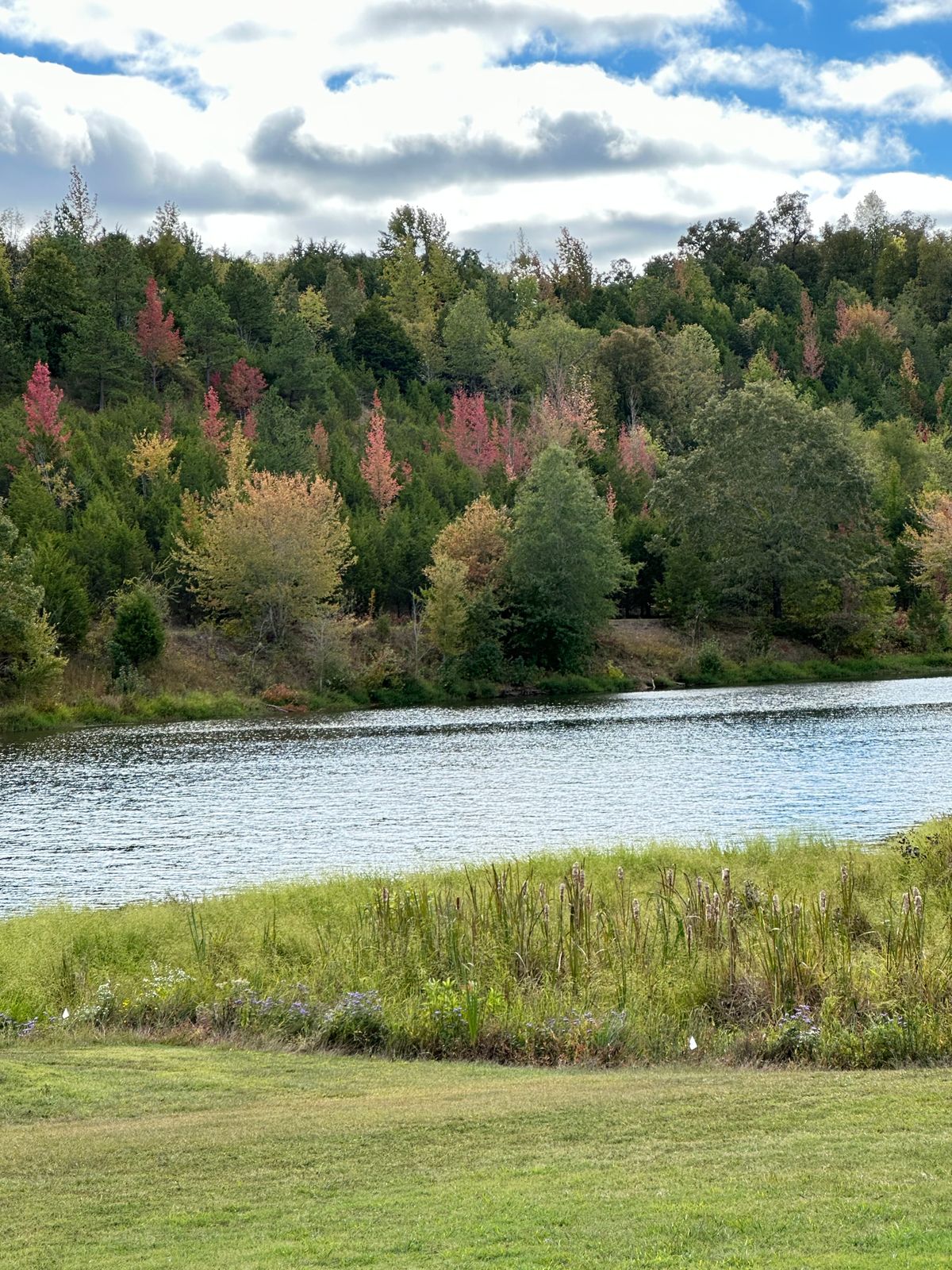 Behind hole 17’s basket during the fall.