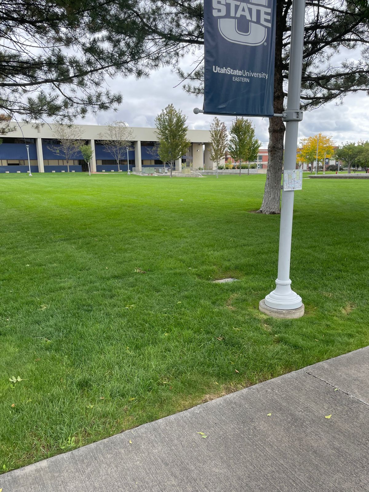 Udisc Hole 9 Tee