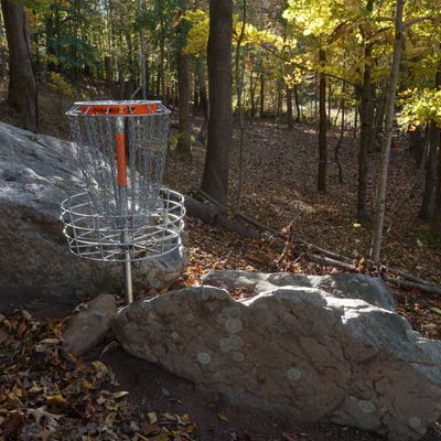 Hole 8 green