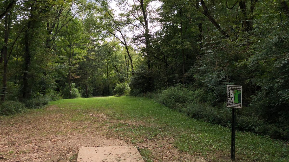 Hole 15