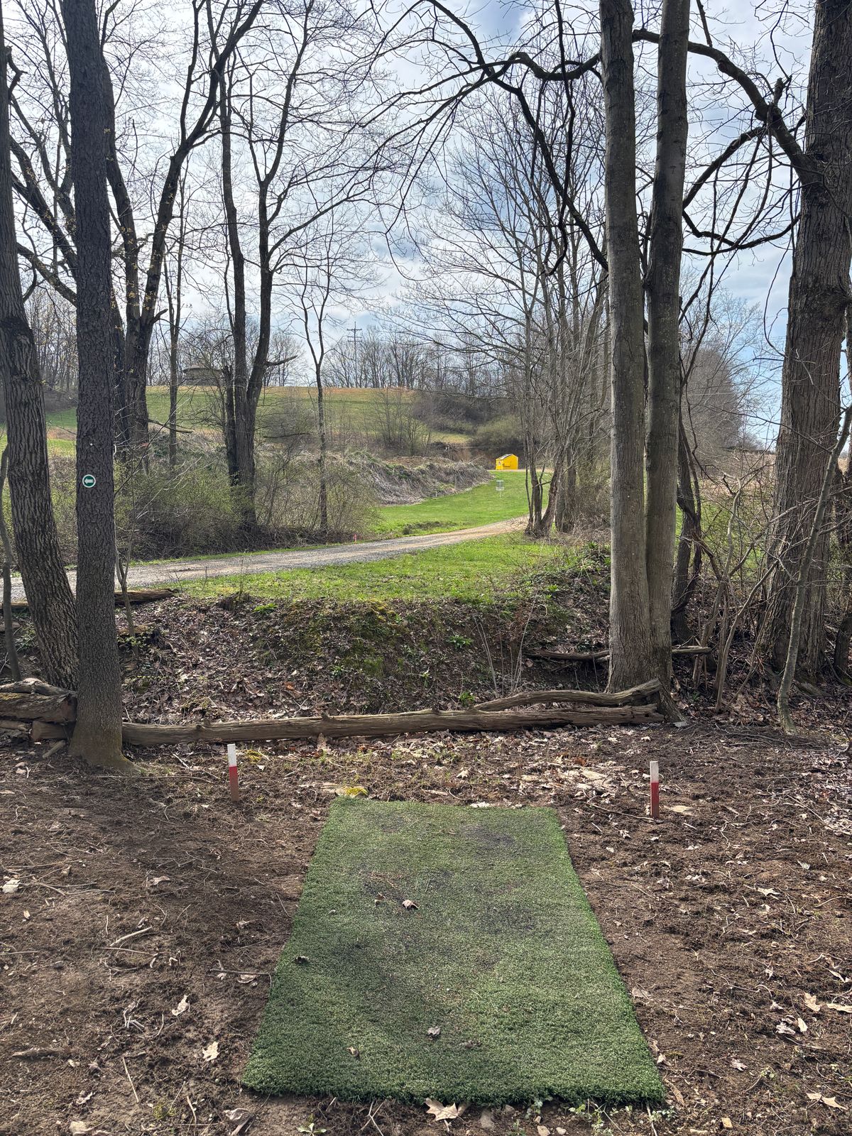 Hole 4 Short tee.