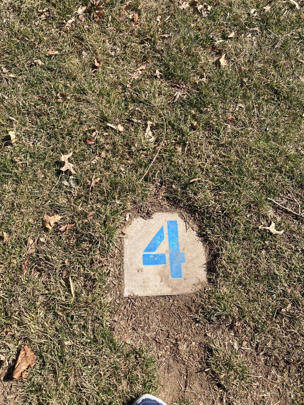 Tee 4