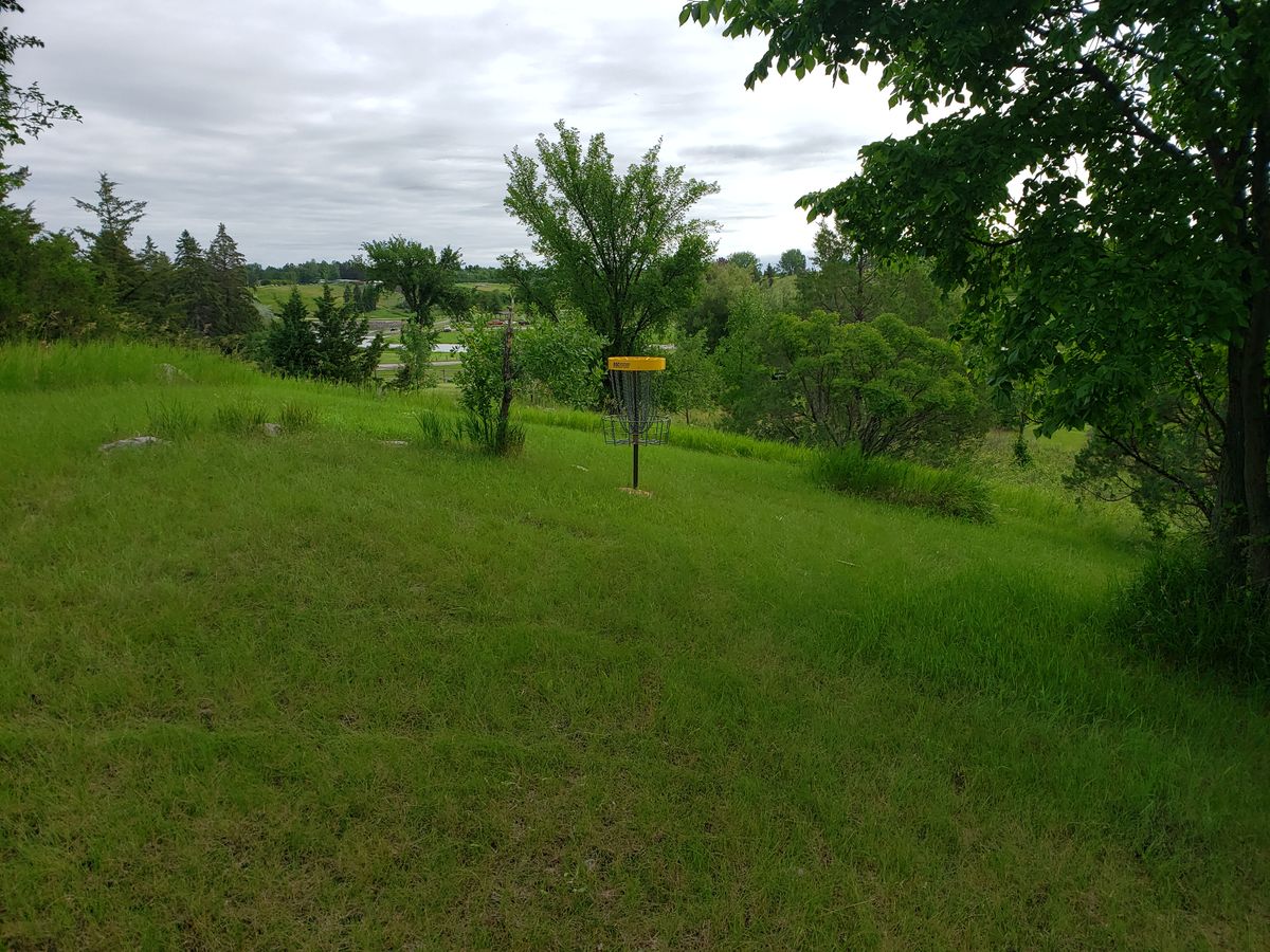 Hole 5 basket