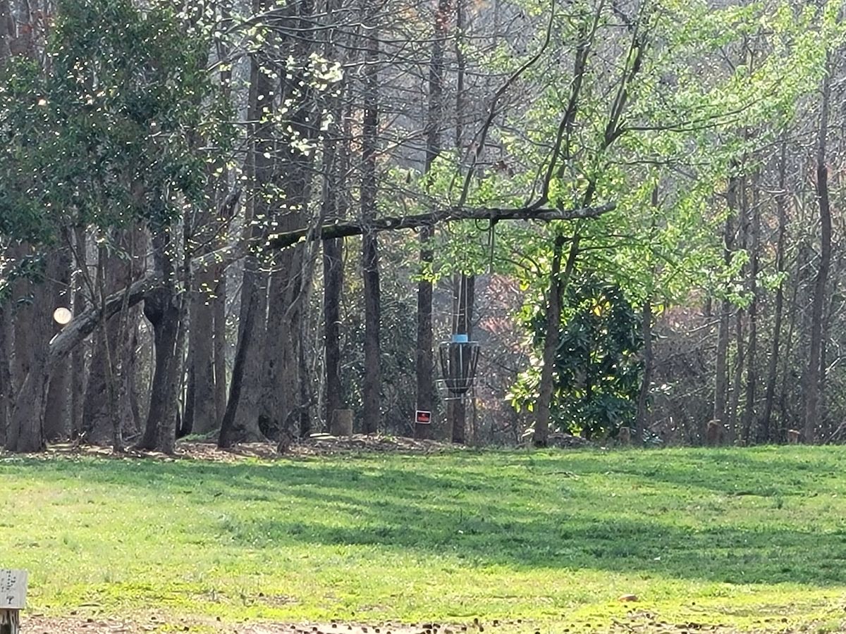 Hole 8
