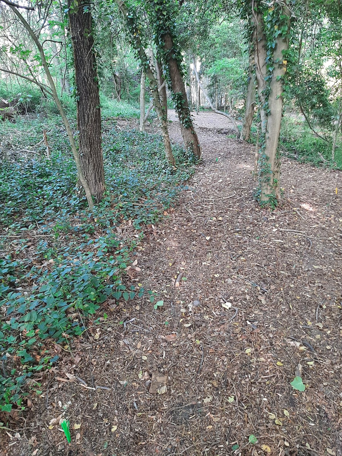 Hole 15 Blue Tee