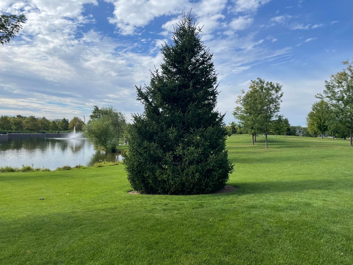 Hole 2