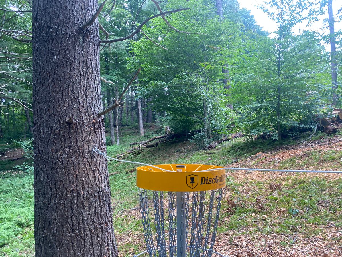 New Hole 4 Basket