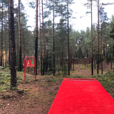12-väylä: 70m, Par3 (suora heitto montun yli. Korin luona maa laskee, joten mitoita voima oikein)