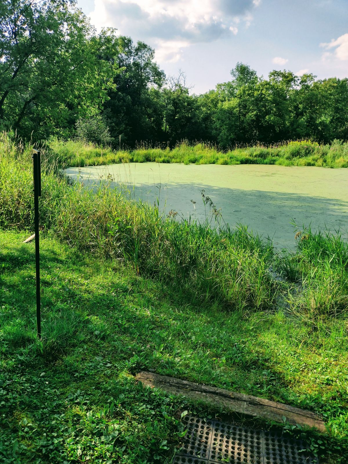 Tee For 8 over the gnarly water.