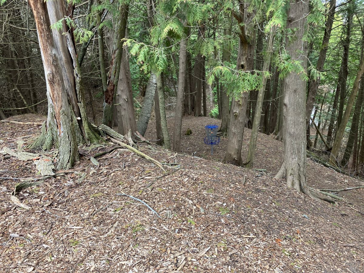 Most holes have alternate basket locations.