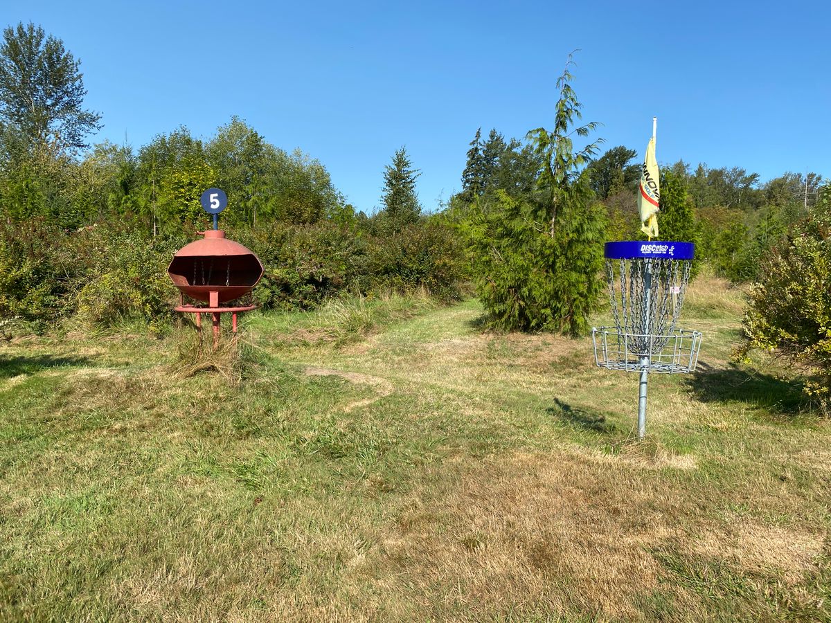 Hole 5 basket options.
