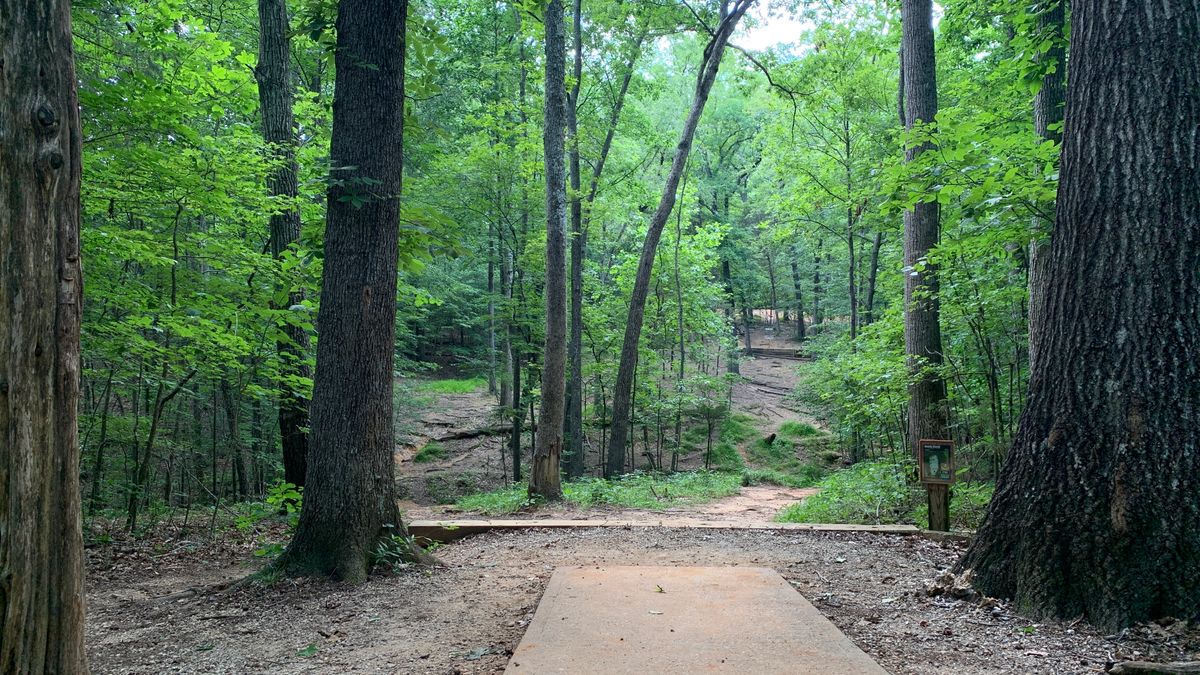 Hole 5