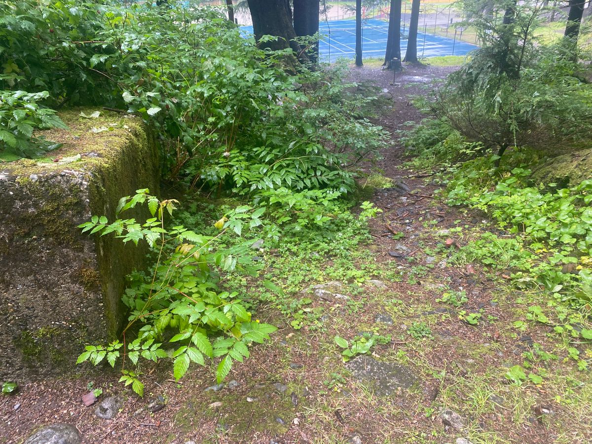 ~85ft down hill putt. Call it a par 2.