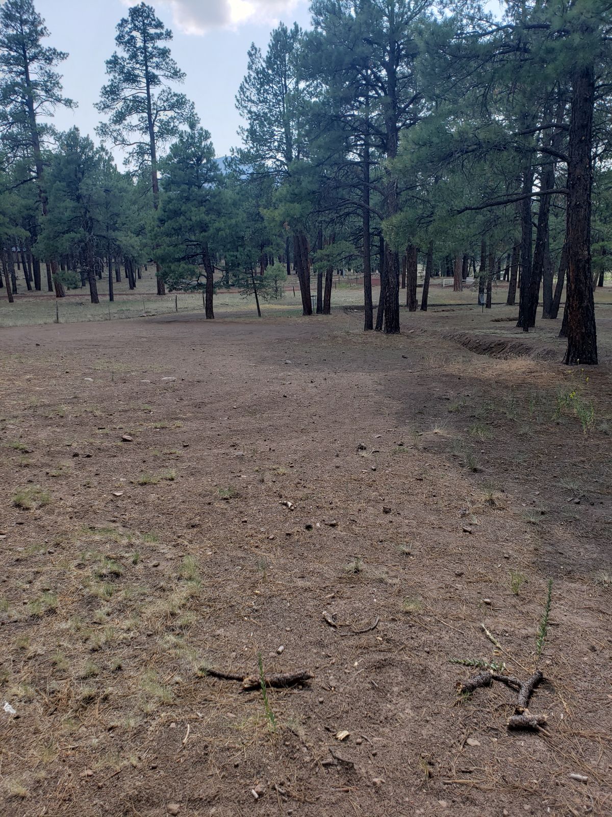 Hole 4 Tee