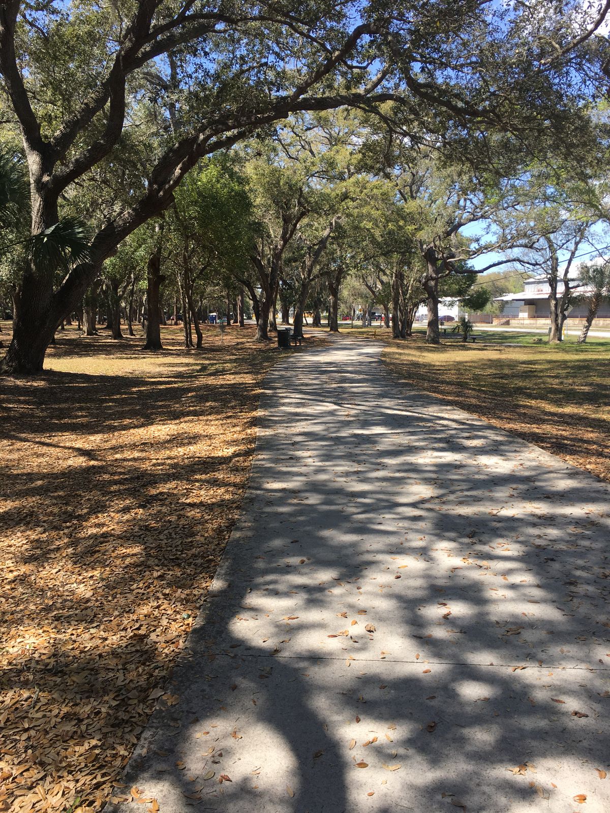 Nice walking path between holes