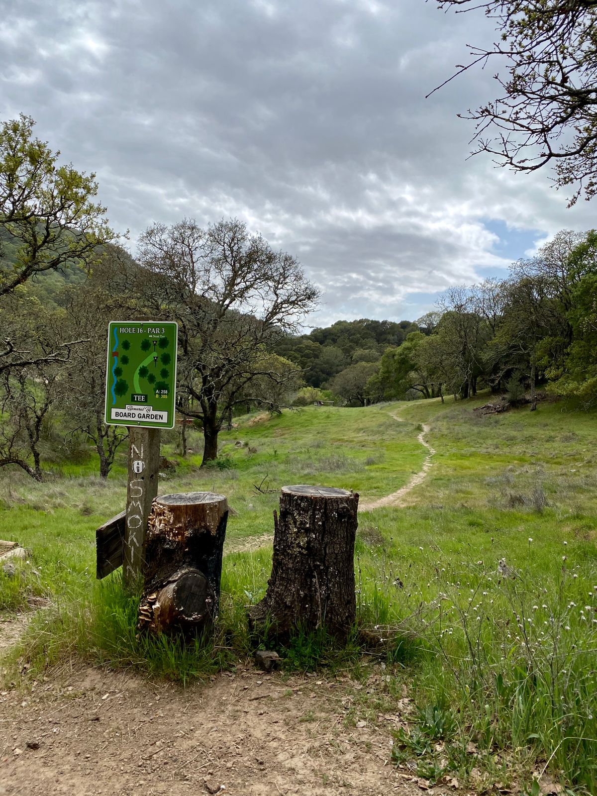 Hole 16