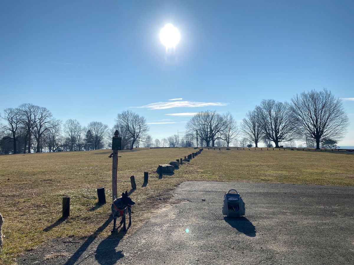 Original 18th tee; basket has been removed. Consider using as 8th tee towards old #4 basket at top of hill. Little overview map shows old layout (was inaccurate on holes 1 and 2).