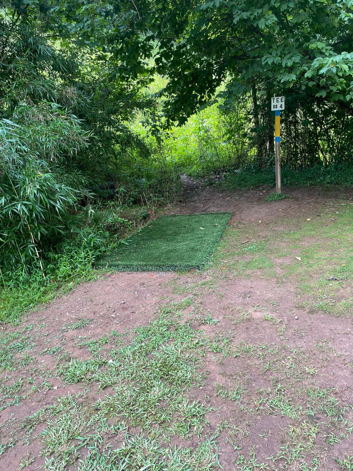 Hole 4 teepad
