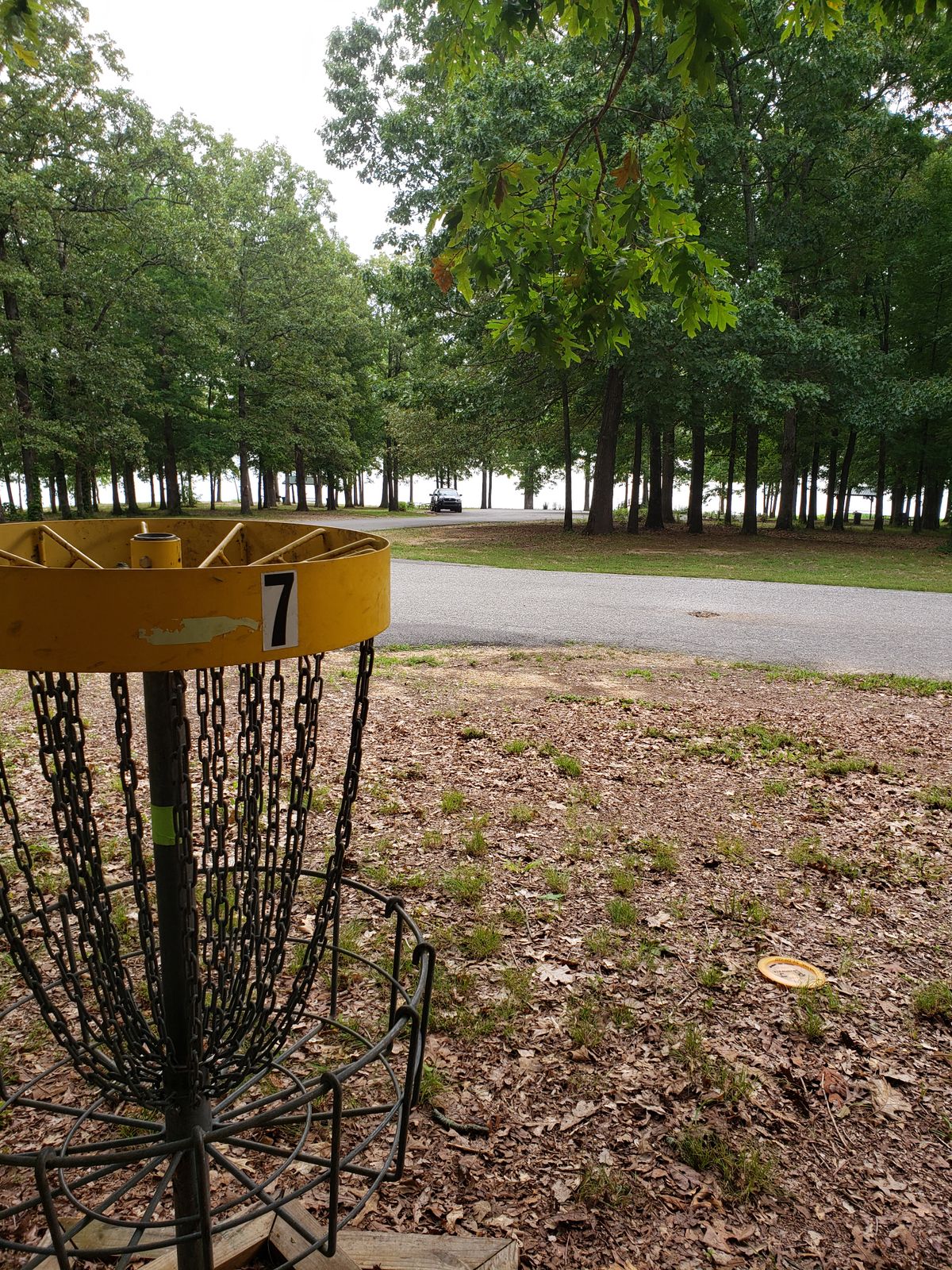 #7 Yellow basket with lake in background 💛