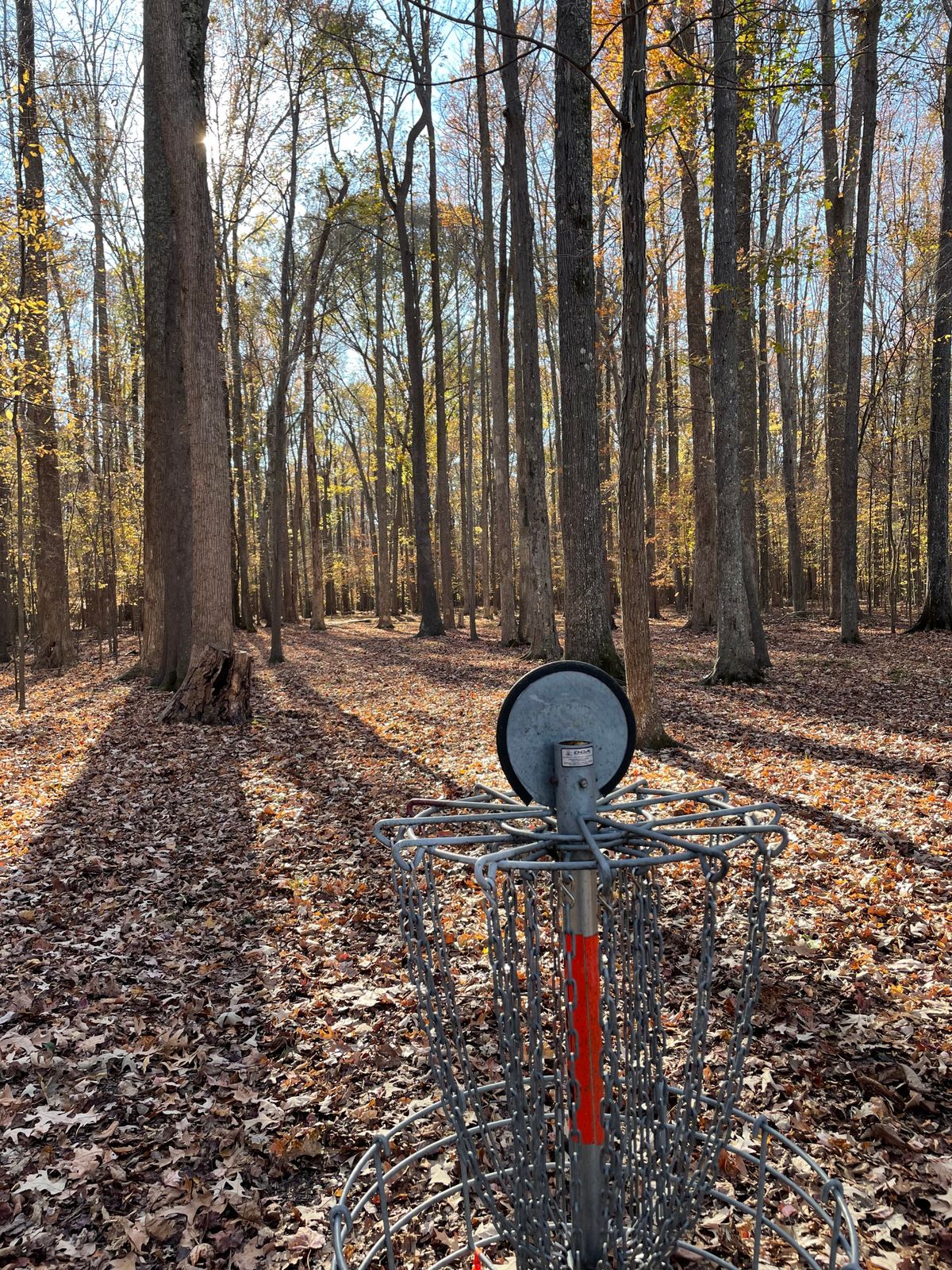 Hole 4
