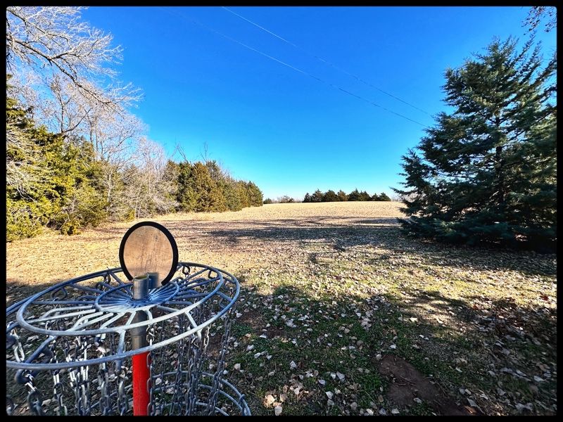 #18 basket looking back down fairway to Tee to left