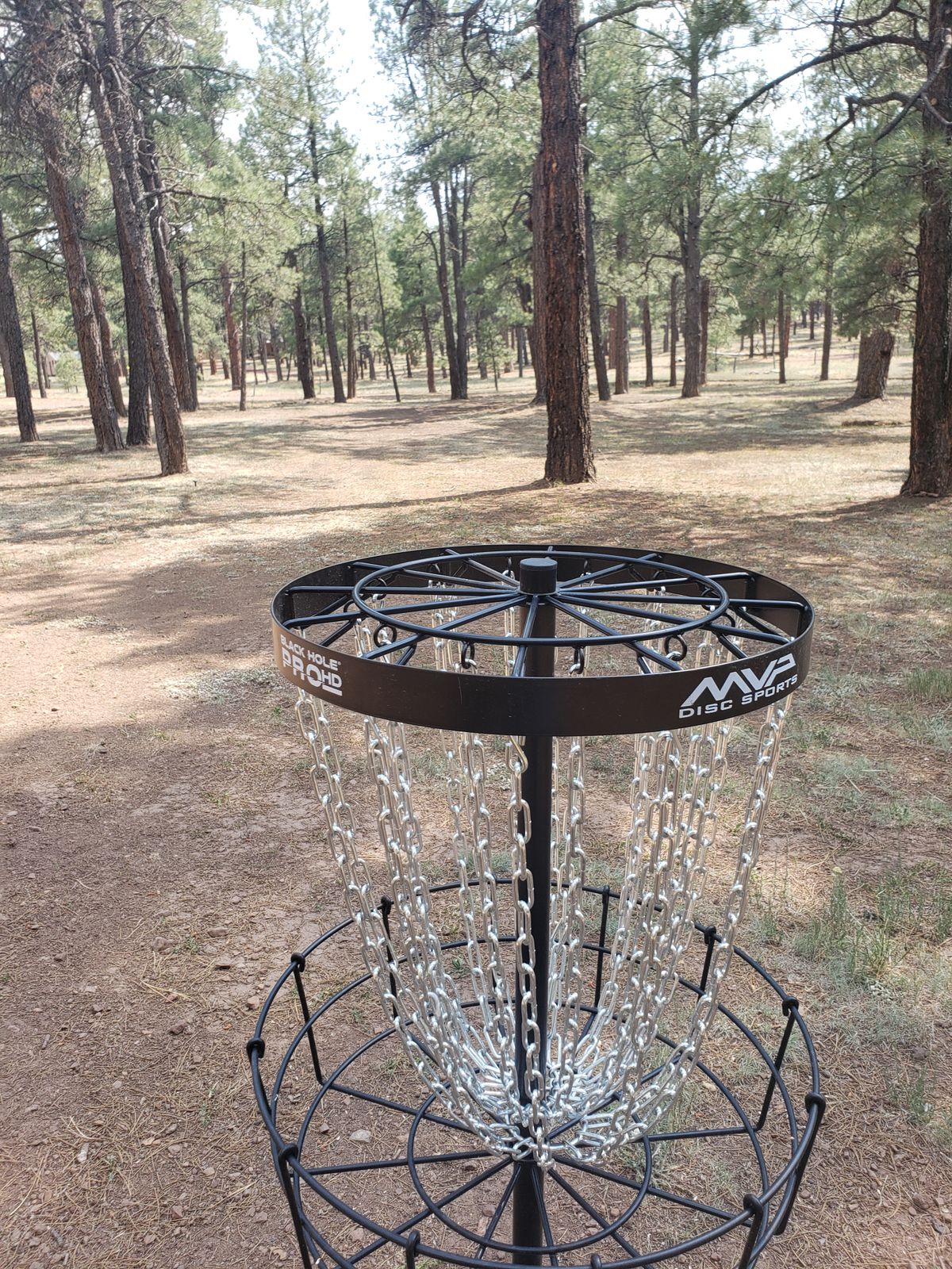 Hole 2 basket looking toward 2s Tee