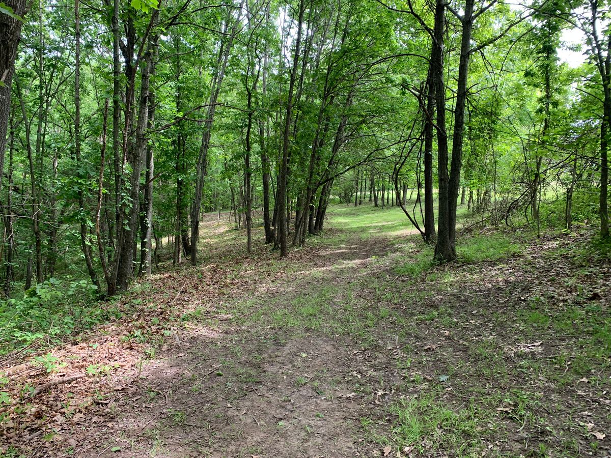 Hole 2 
Two routes, left route slight shorter but skinnier than right route.  
Roughly 216’ vs 246’