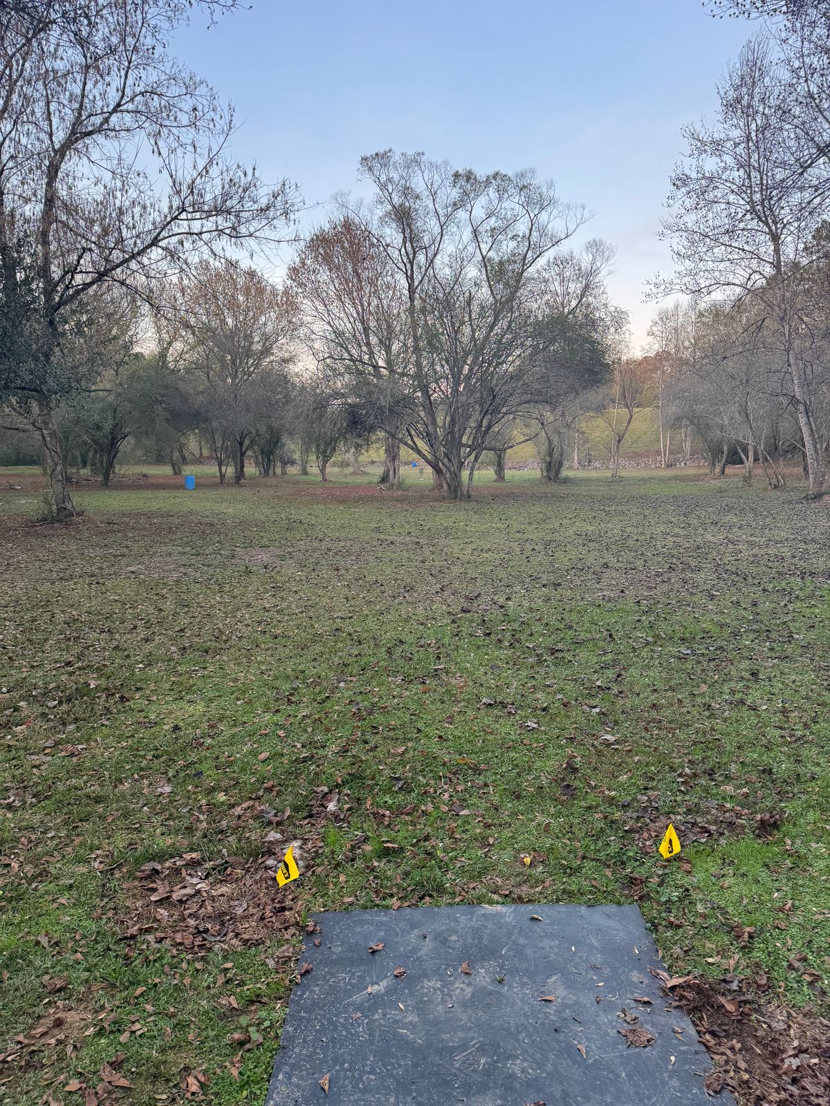 Hole 11 short Teepad