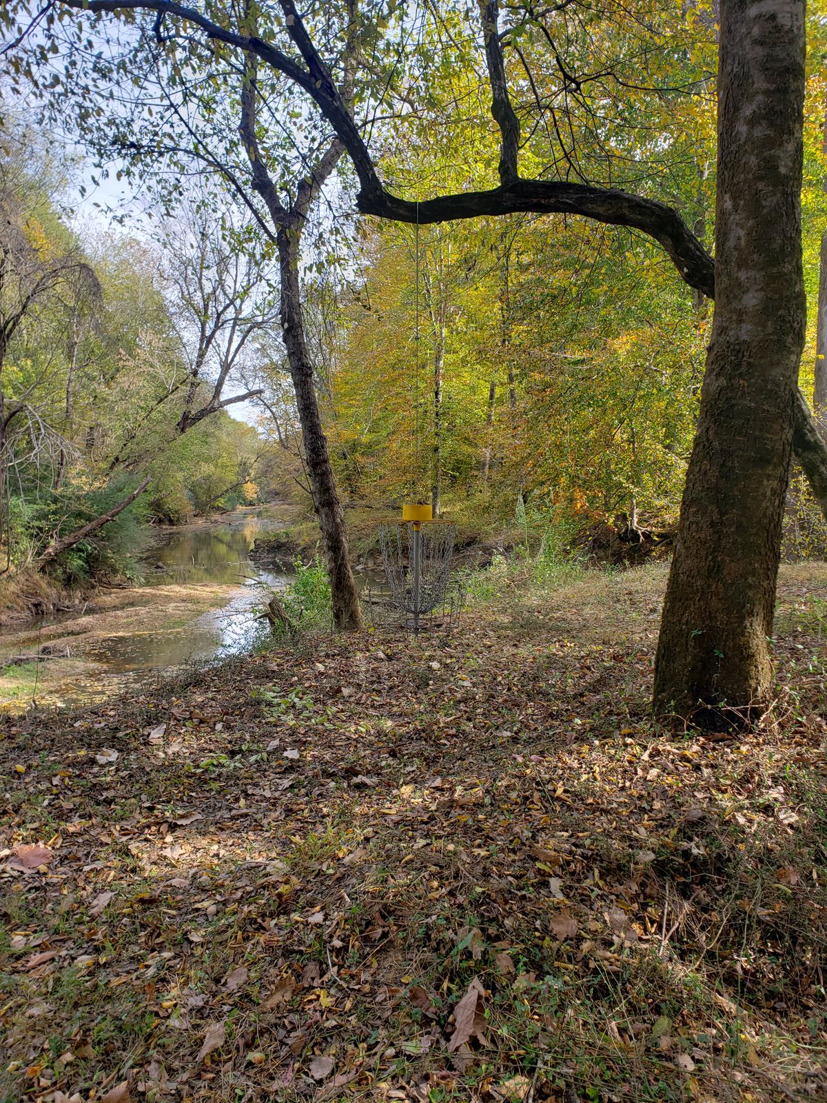 Hole 5's basket by the river.