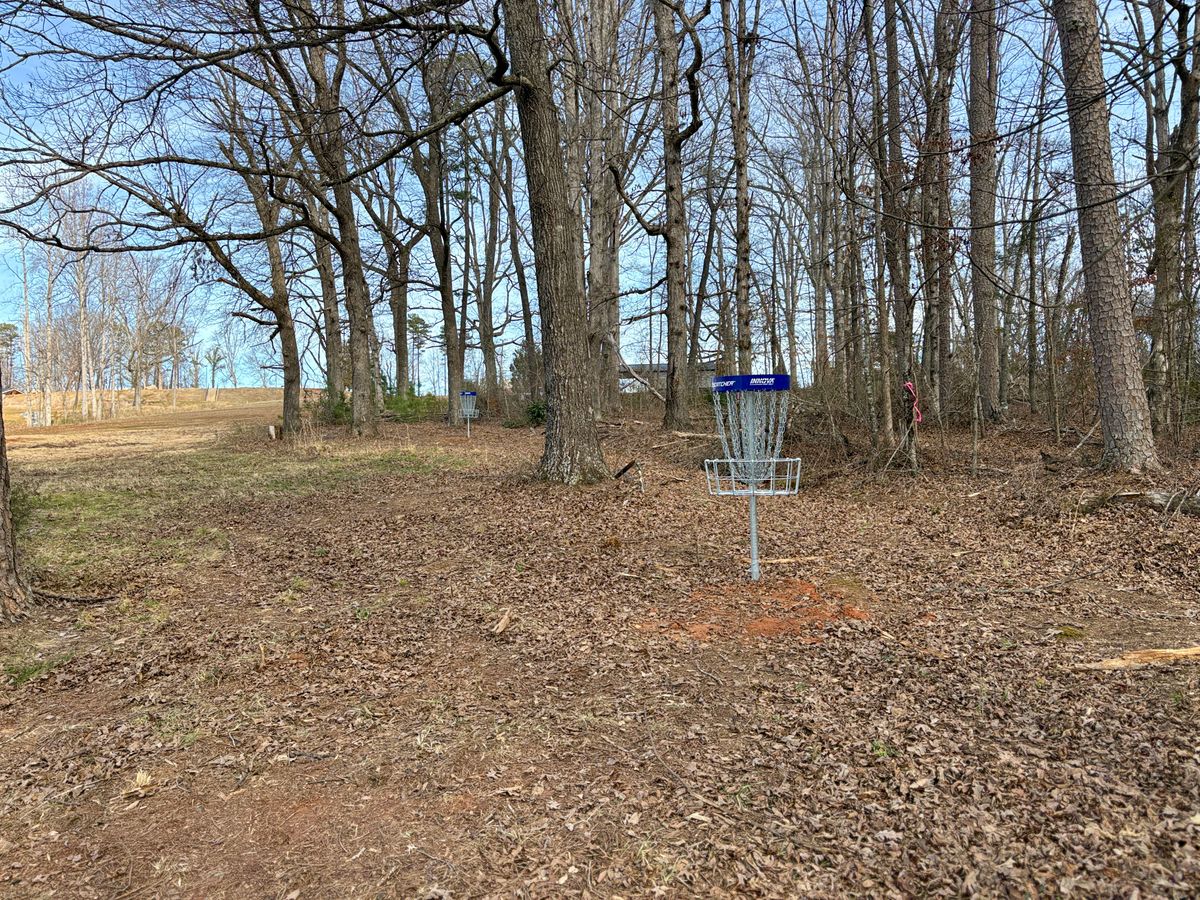 Hole 18 short basket